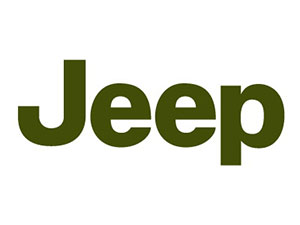 2010 JEEP Patriot