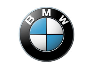 2010 BMW X6M